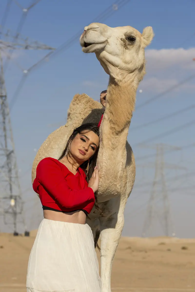 A traveller with a camel in the desert